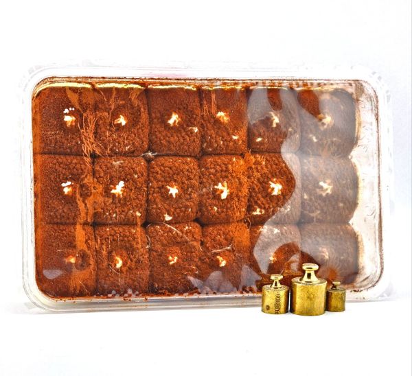 Десерт тірамісу Dolce Italia Tiramisu Classico 500 г