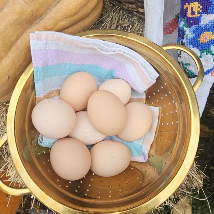 Домашні, курячі яйця